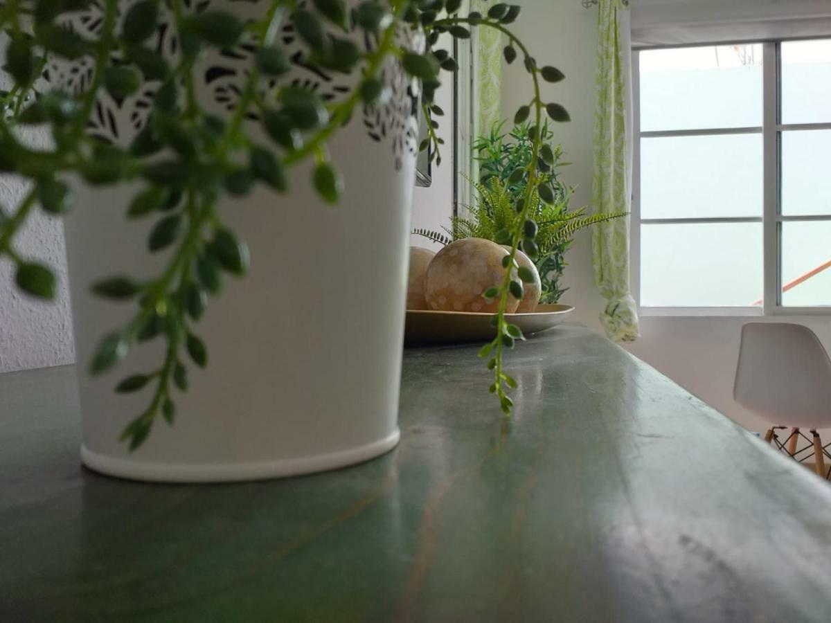 Casita Verde Vista Mar Parque Holandes エクステリア 写真