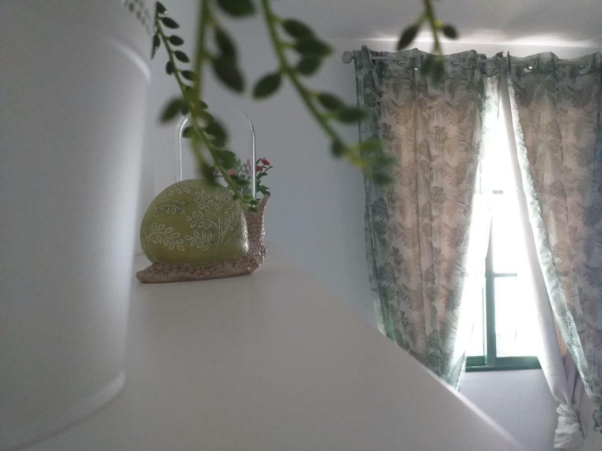 Casita Verde Vista Mar Parque Holandes エクステリア 写真